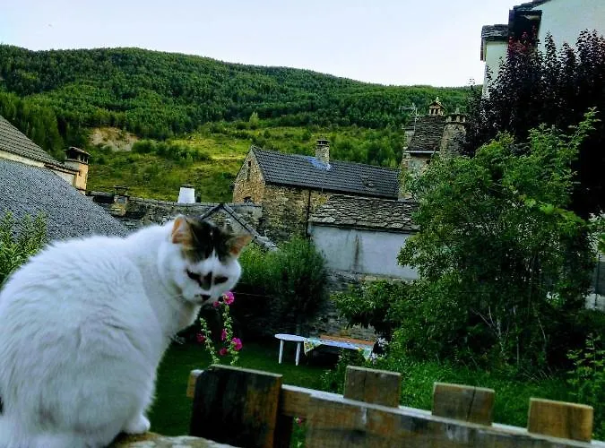 - Casa 150m2 Con Jardin Y Barbacoa * Borau